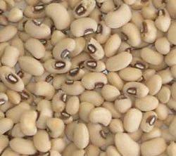 สารสกัดจากถั่วขาว (White Kidney Bean Extract)